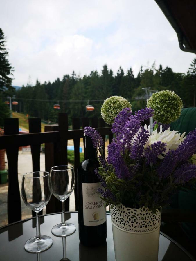 Bed and Breakfast Safir Przy Samym Wyciagu Karpacz Exterior foto